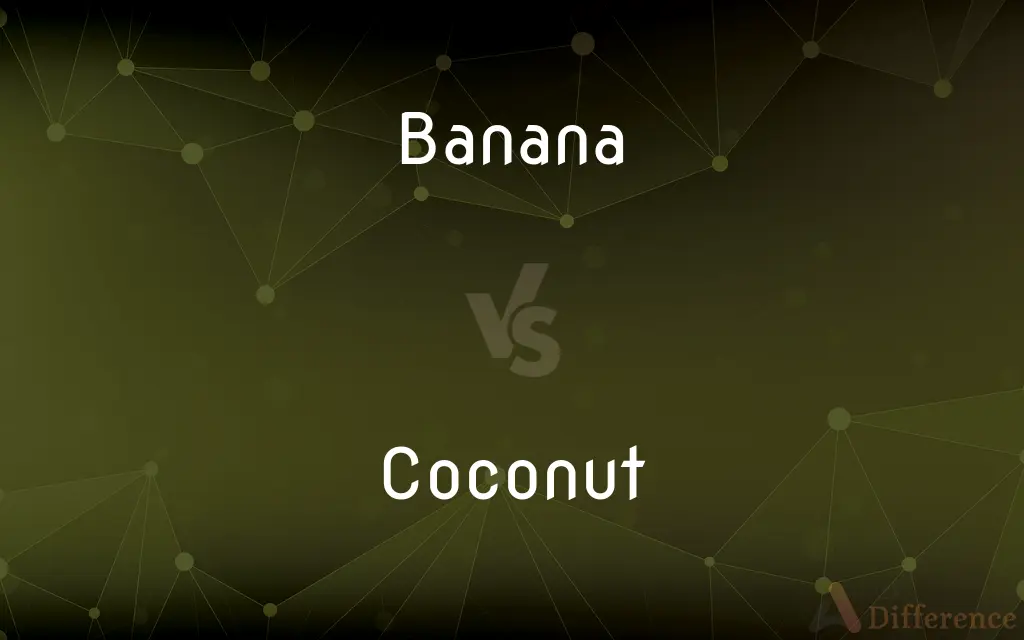 Banana vs. Coconut — What's the Difference?