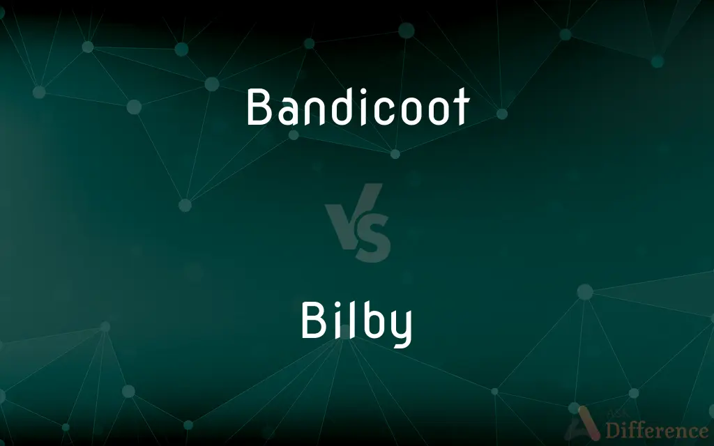 Bandicoot vs. Bilby — What's the Difference?