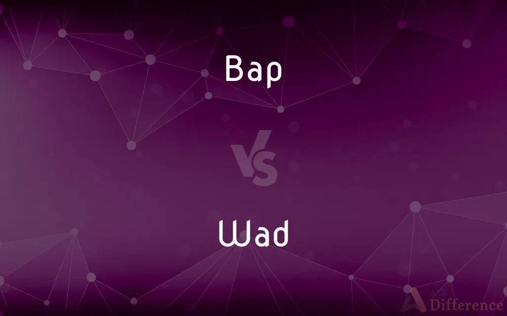 Bap vs. Wad — What's the Difference?
