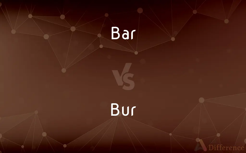 Bar vs. Bur — What's the Difference?