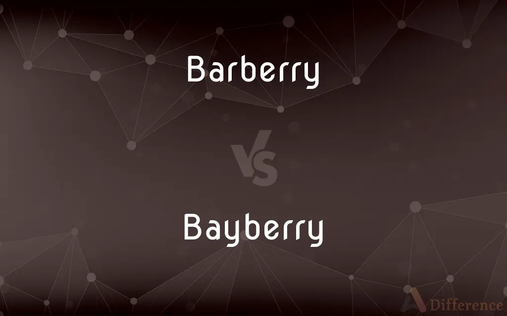 Barberry vs. Bayberry — What's the Difference?