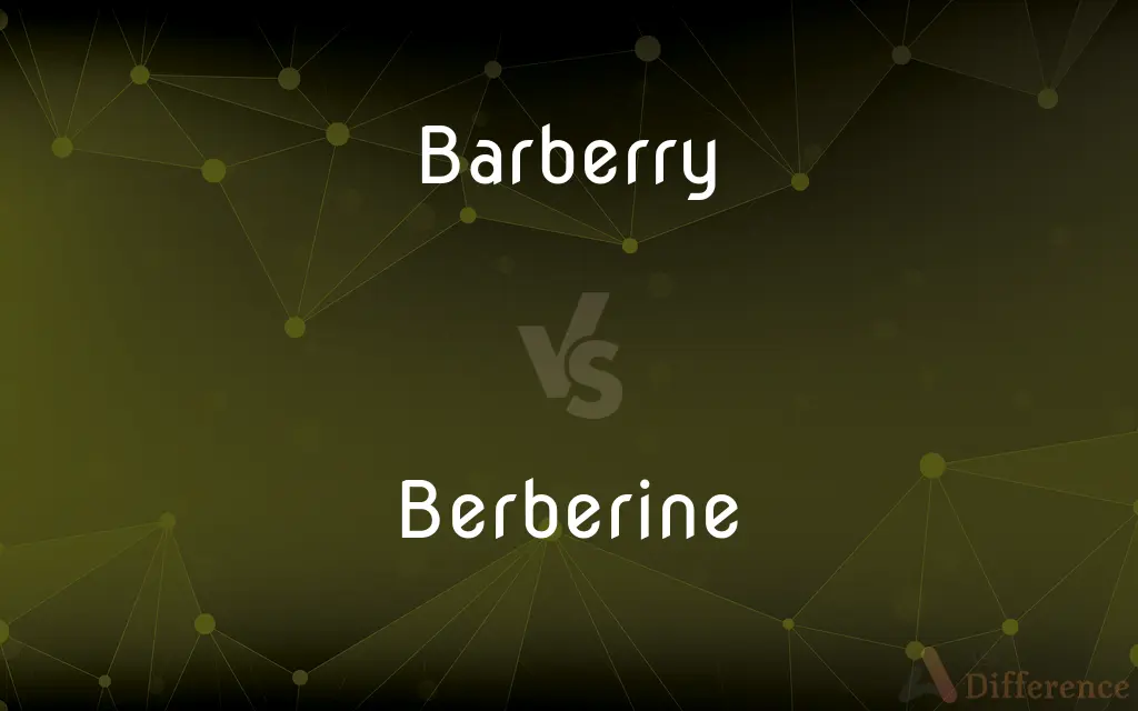 Barberry vs. Berberine — What's the Difference?