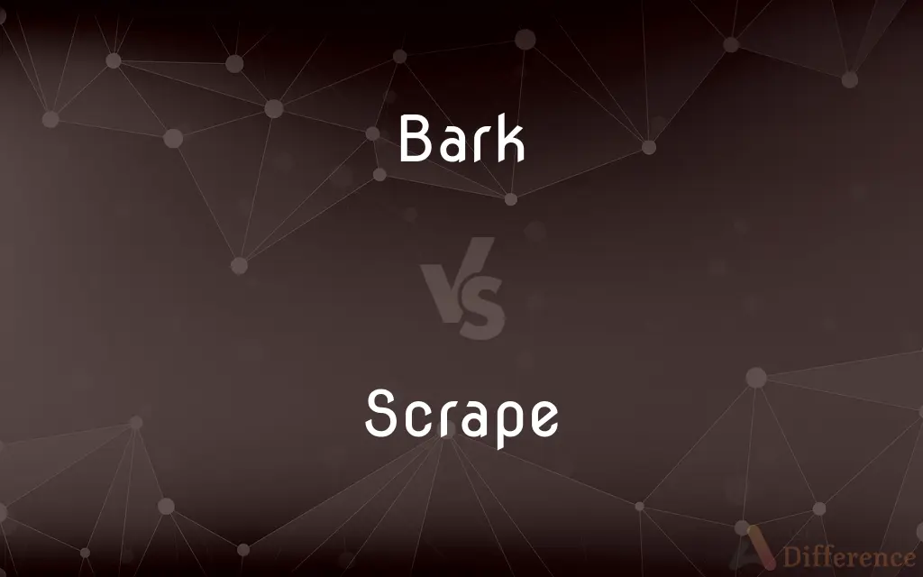 Bark vs. Scrape — What's the Difference?