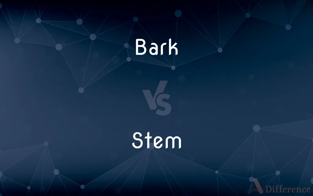 Bark vs. Stem — What's the Difference?