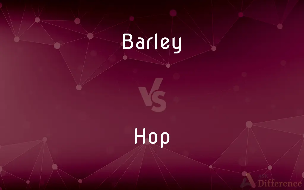 Barley vs. Hop — What's the Difference?