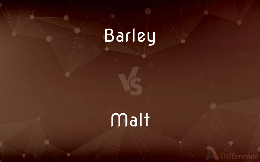 Barley vs. Malt — What's the Difference?