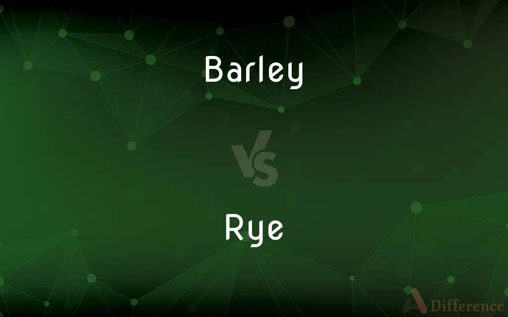 Barley vs. Rye — What's the Difference?