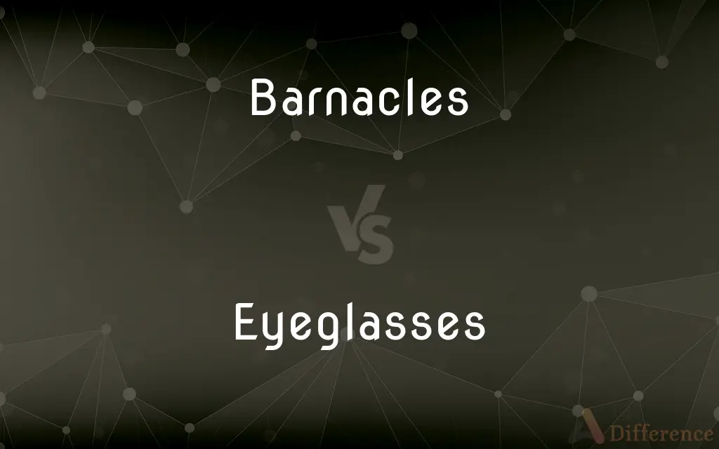 Barnacles vs. Eyeglasses — What's the Difference?