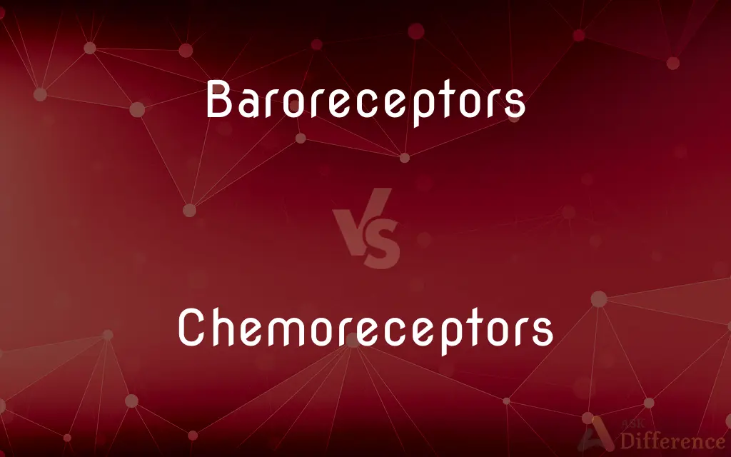 Baroreceptors vs. Chemoreceptors — What's the Difference?