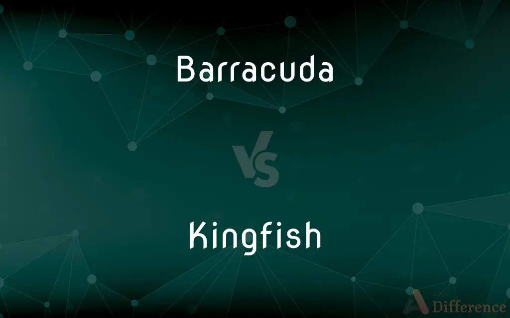 Barracuda vs. Kingfish — What's the Difference?