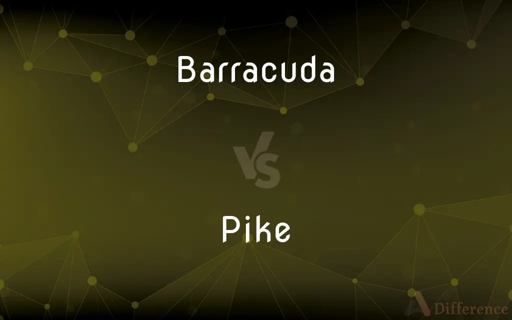 Barracuda vs. Pike — What's the Difference?