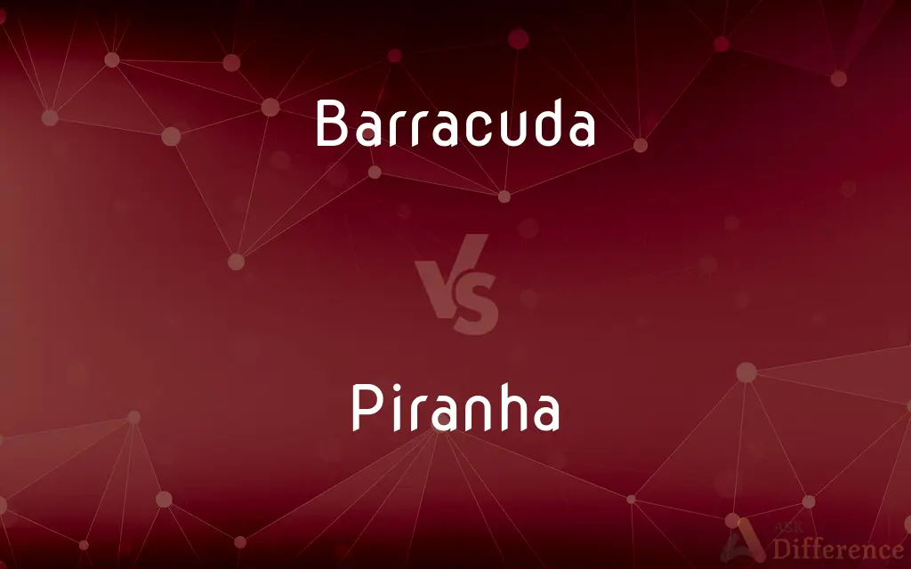 Barracuda vs. Piranha — What's the Difference?