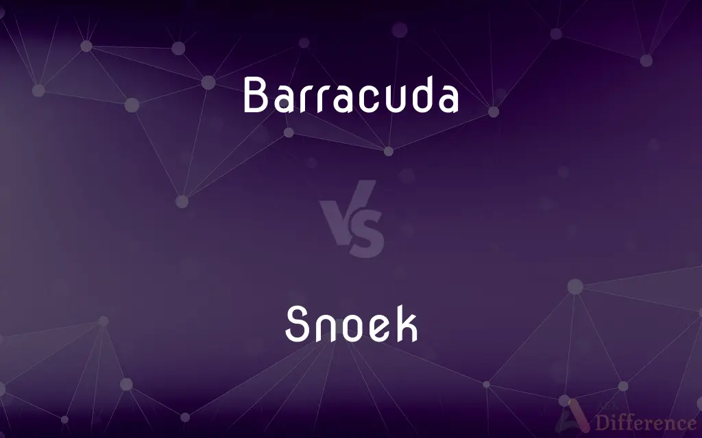 Barracuda vs. Snoek — What's the Difference?