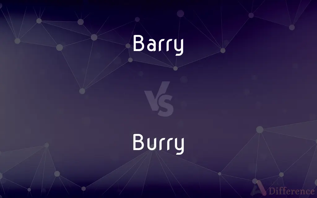 Barry vs. Burry — What's the Difference?
