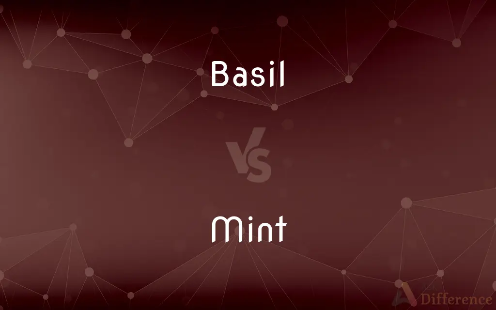 Basil vs. Mint — What's the Difference?