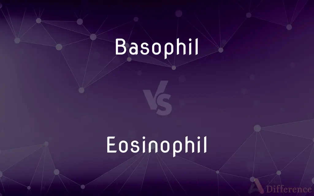Basophil vs. Eosinophil — What's the Difference?