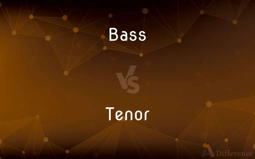 Bass vs. Tenor — What's the Difference?