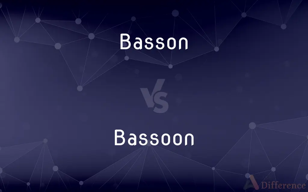Basson vs. Bassoon — What's the Difference?