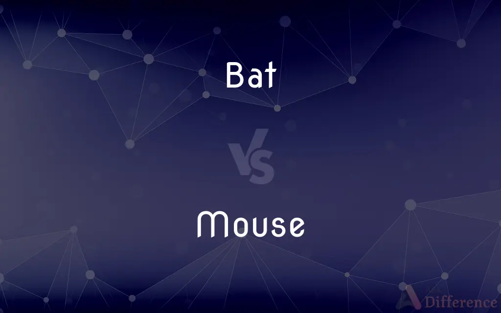 Bat vs. Mouse — What's the Difference?