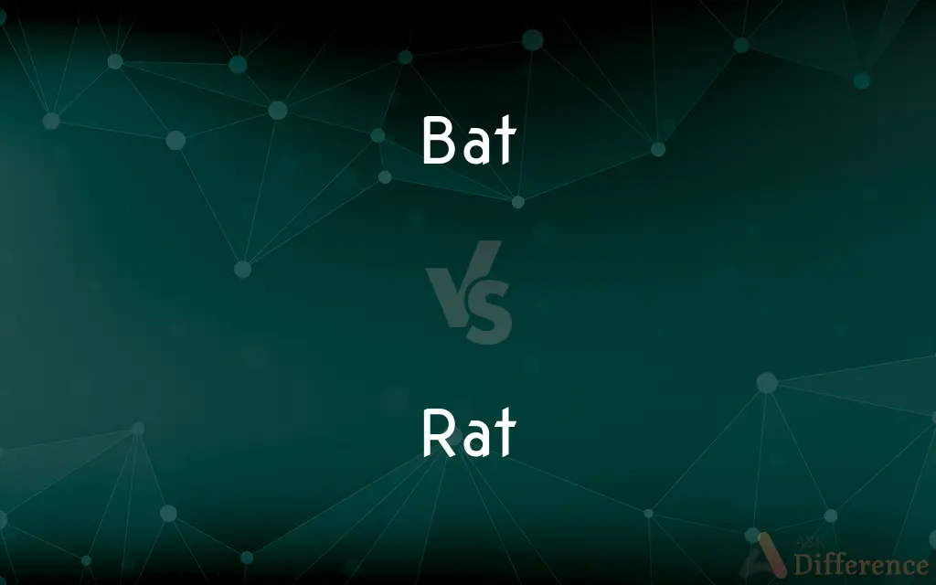 Bat vs. Rat — What's the Difference?