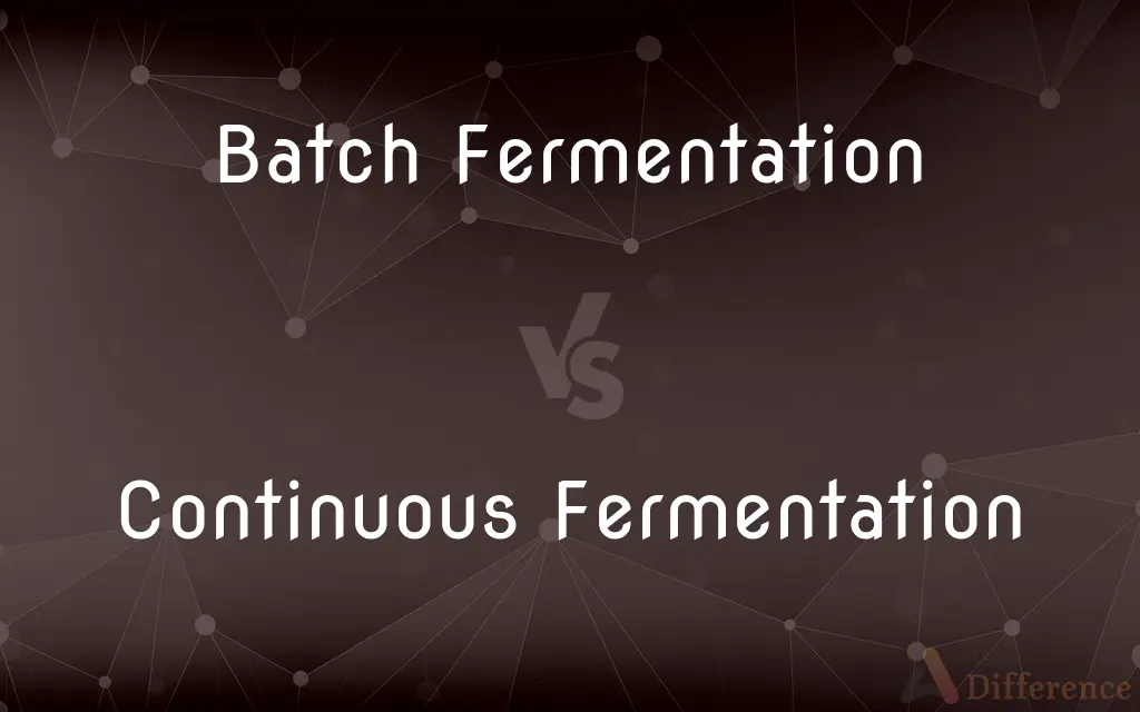 Batch Fermentation vs. Continuous Fermentation — What's the Difference?