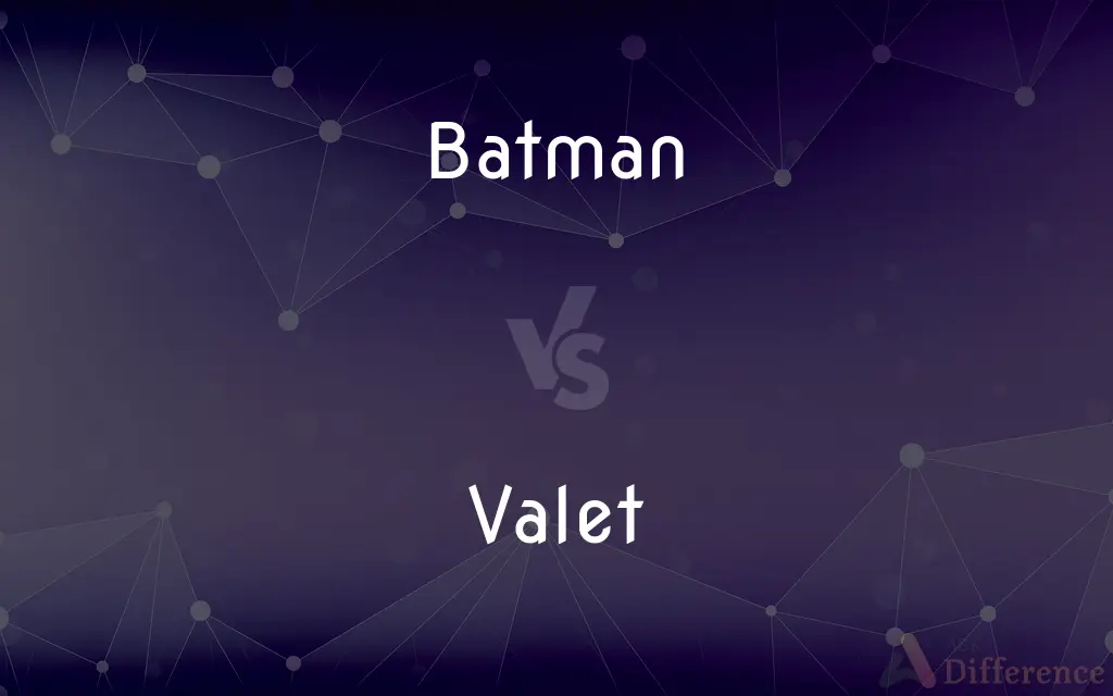 Batman vs. Valet — What's the Difference?