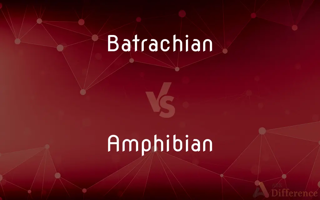 Batrachian vs. Amphibian — What's the Difference?