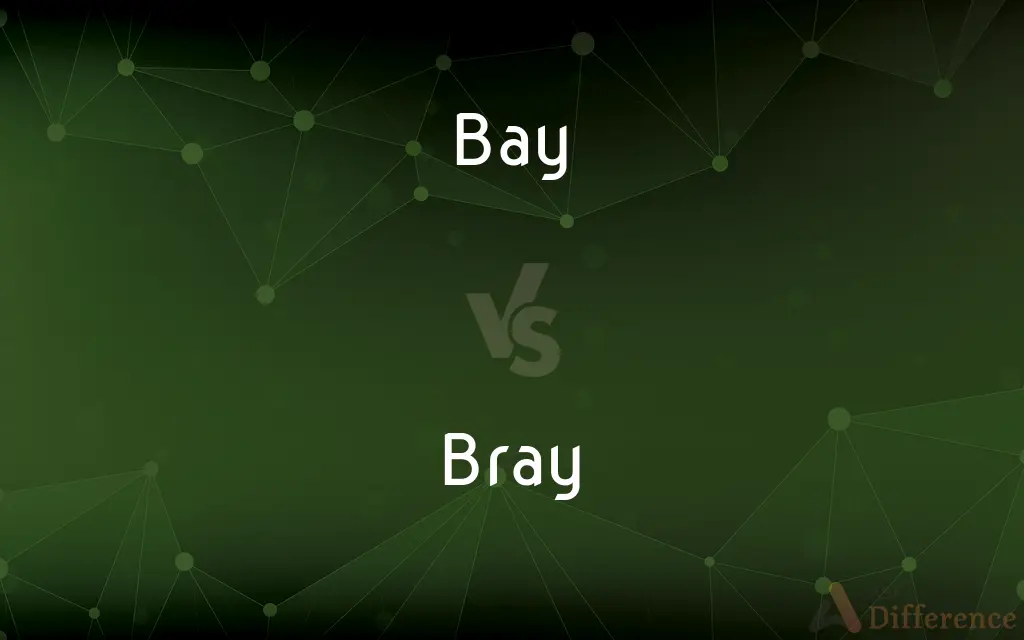 Bay vs. Bray — What's the Difference?