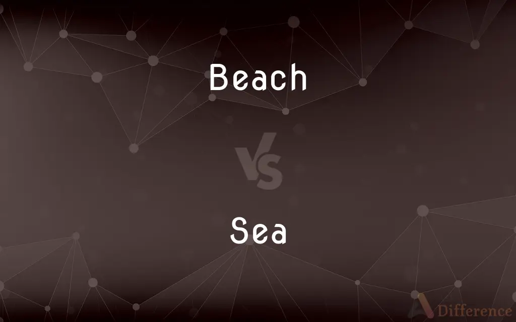 Beach vs. Sea — What's the Difference?