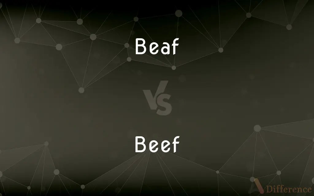 Beaf vs. Beef — Which is Correct Spelling?