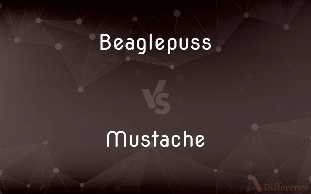 Beaglepuss vs. Mustache — What's the Difference?