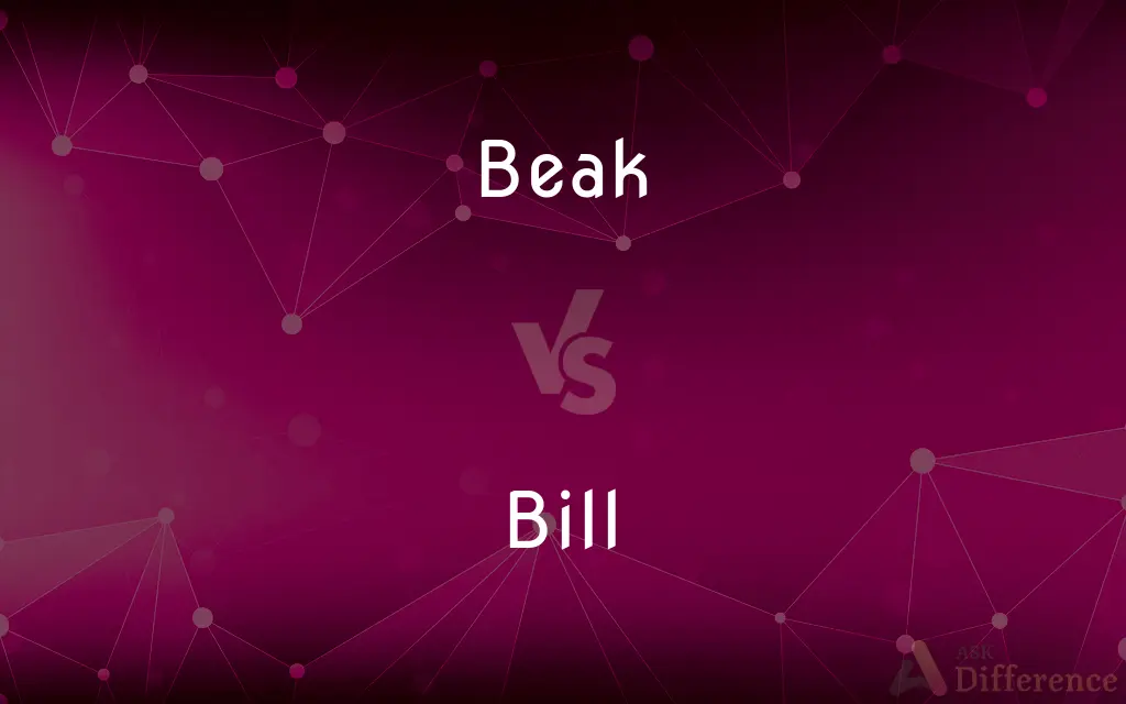 Beak vs. Bill — What's the Difference?
