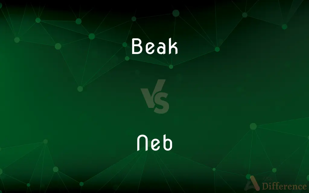 Beak vs. Neb — What's the Difference?