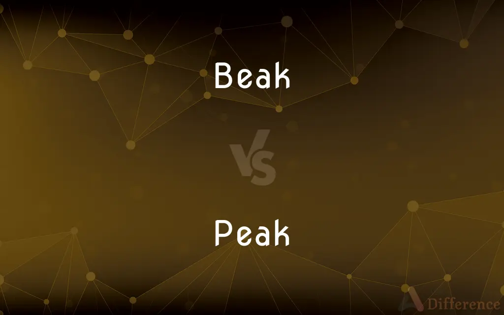 Beak vs. Peak — What's the Difference?