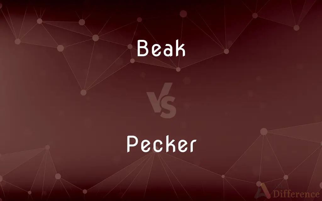 Beak vs. Pecker — What's the Difference?