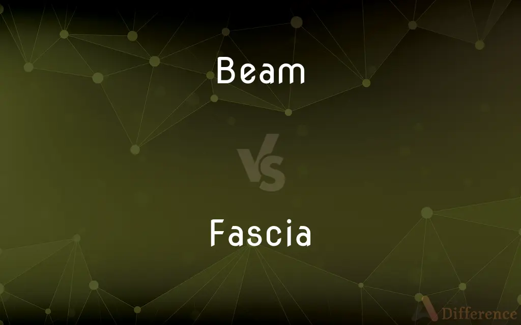 Beam vs. Fascia — What's the Difference?