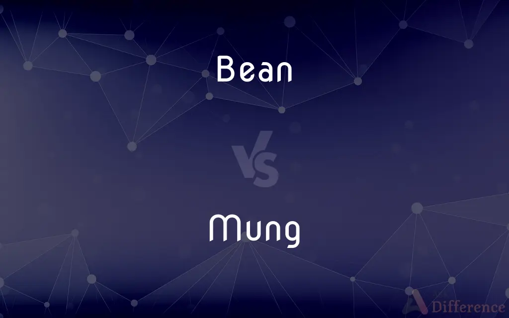 Bean vs. Mung — What's the Difference?
