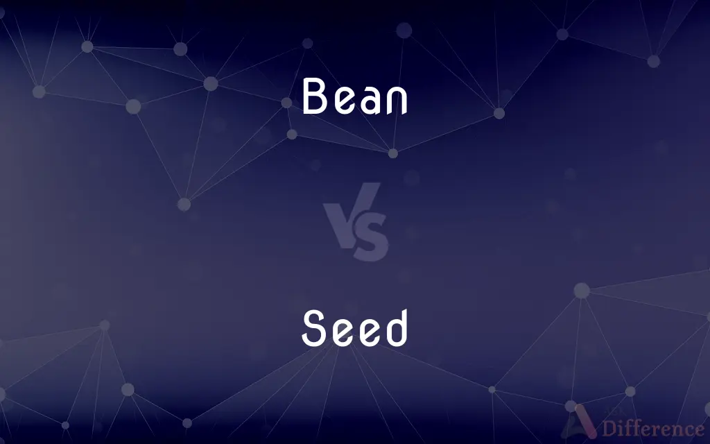 Bean vs. Seed — What's the Difference?