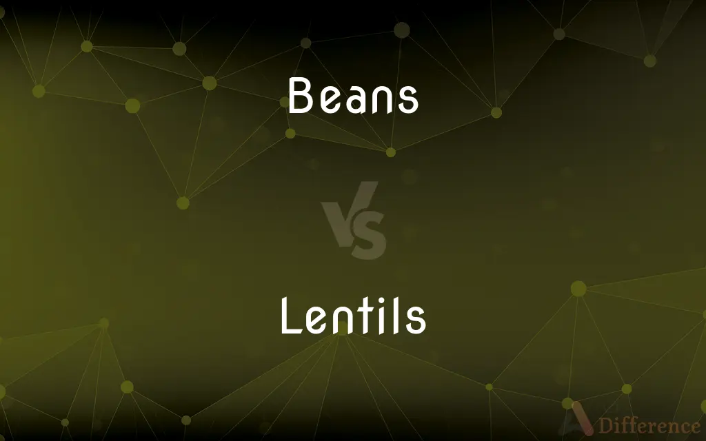 Beans vs. Lentils — What's the Difference?
