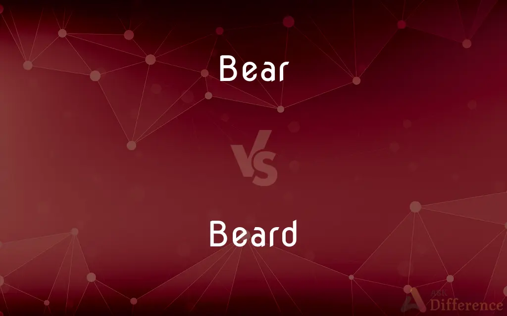 Bear vs. Beard — What's the Difference?