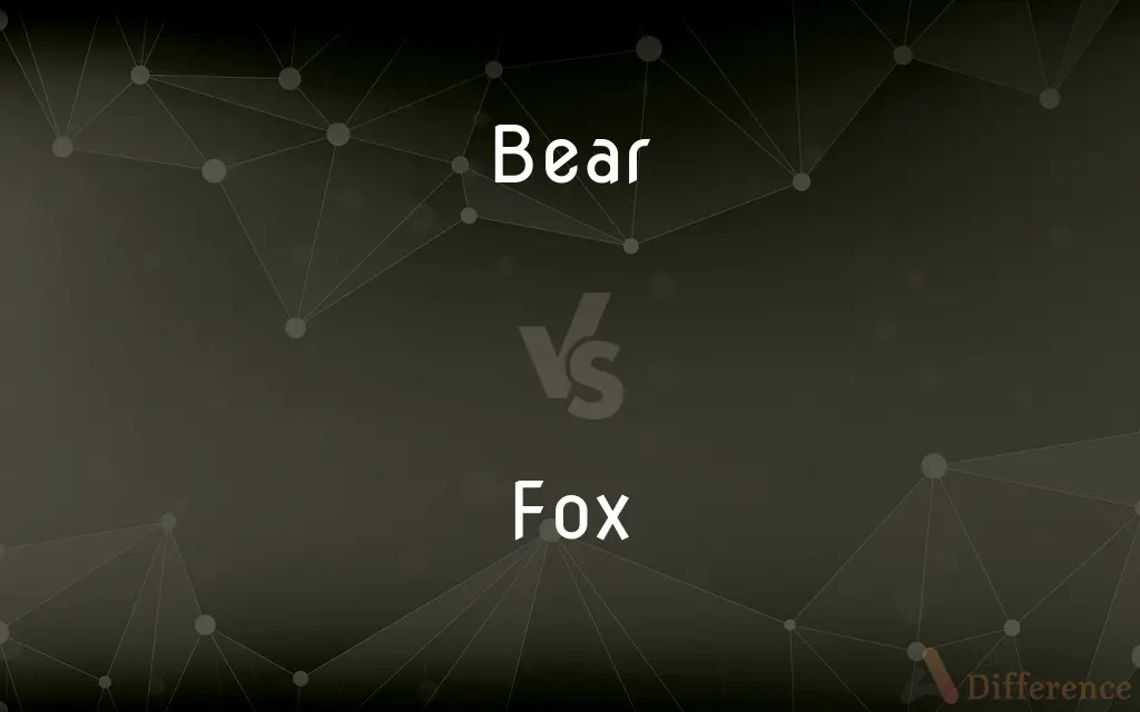 Bear vs. Fox — What's the Difference?