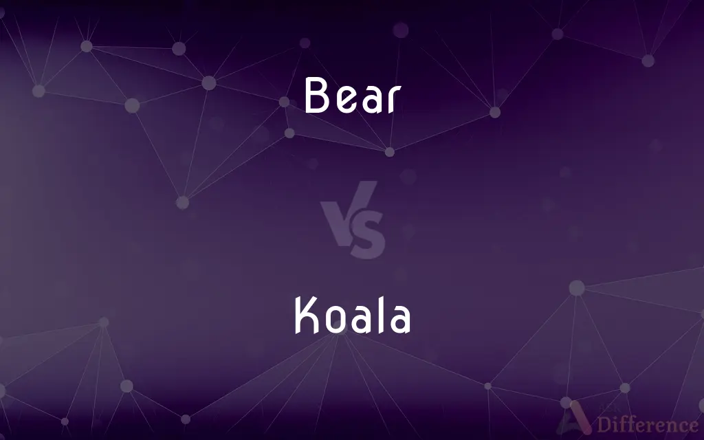 Bear vs. Koala — What's the Difference?