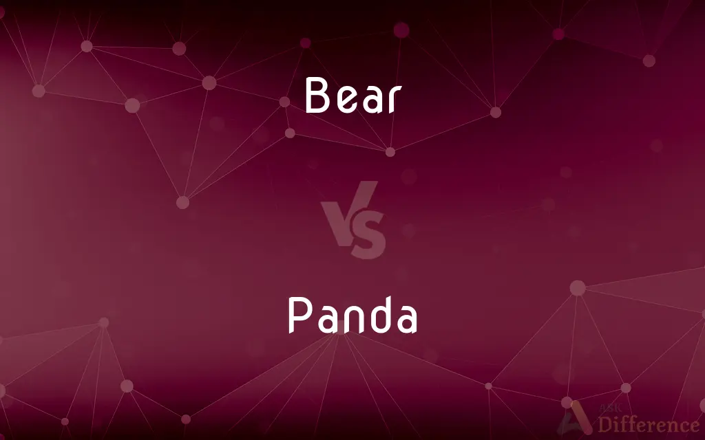 Bear vs. Panda — What's the Difference?