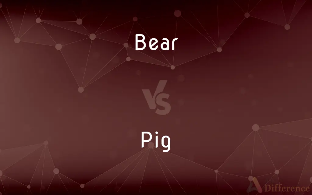 Bear vs. Pig — What's the Difference?