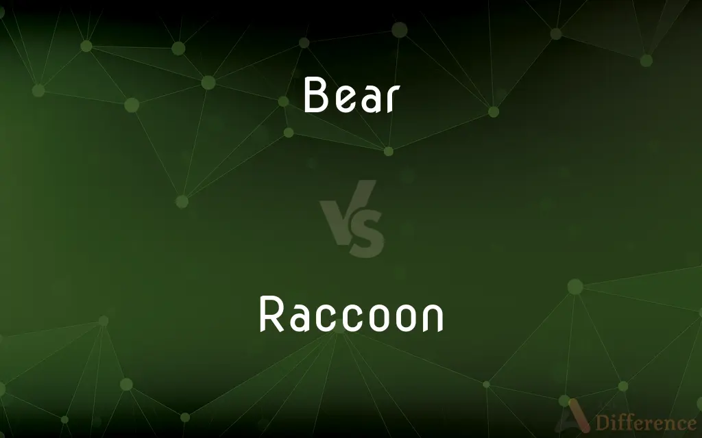 Bear vs. Raccoon — What's the Difference?