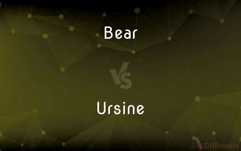 Bear vs. Ursine — What's the Difference?