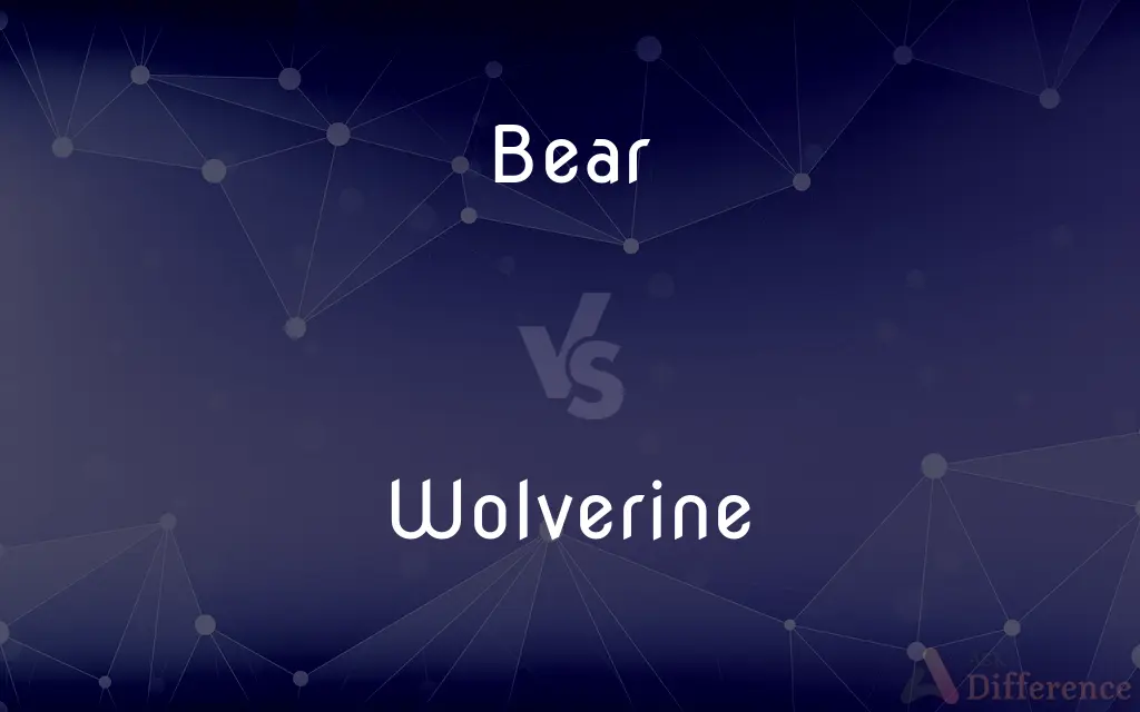 Bear vs. Wolverine — What's the Difference?