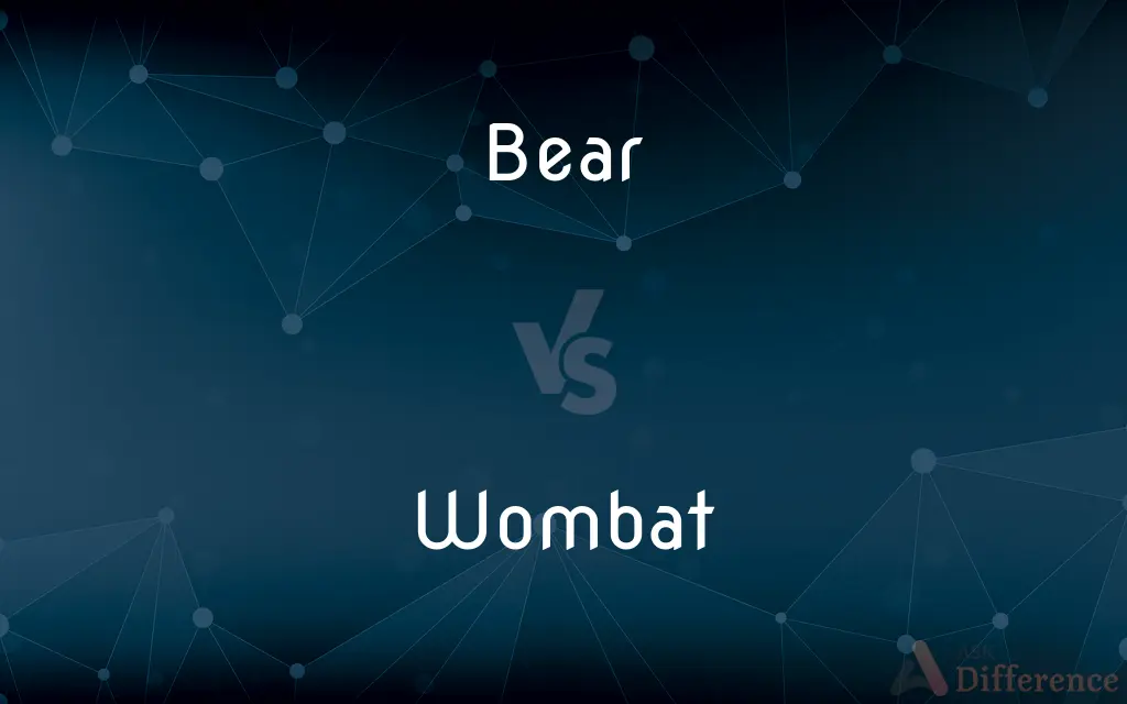 Bear vs. Wombat — What's the Difference?