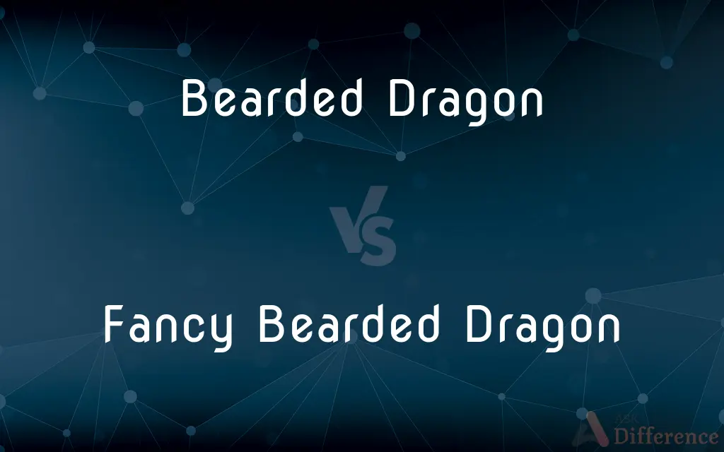 Bearded Dragon vs. Fancy Bearded Dragon — What's the Difference?
