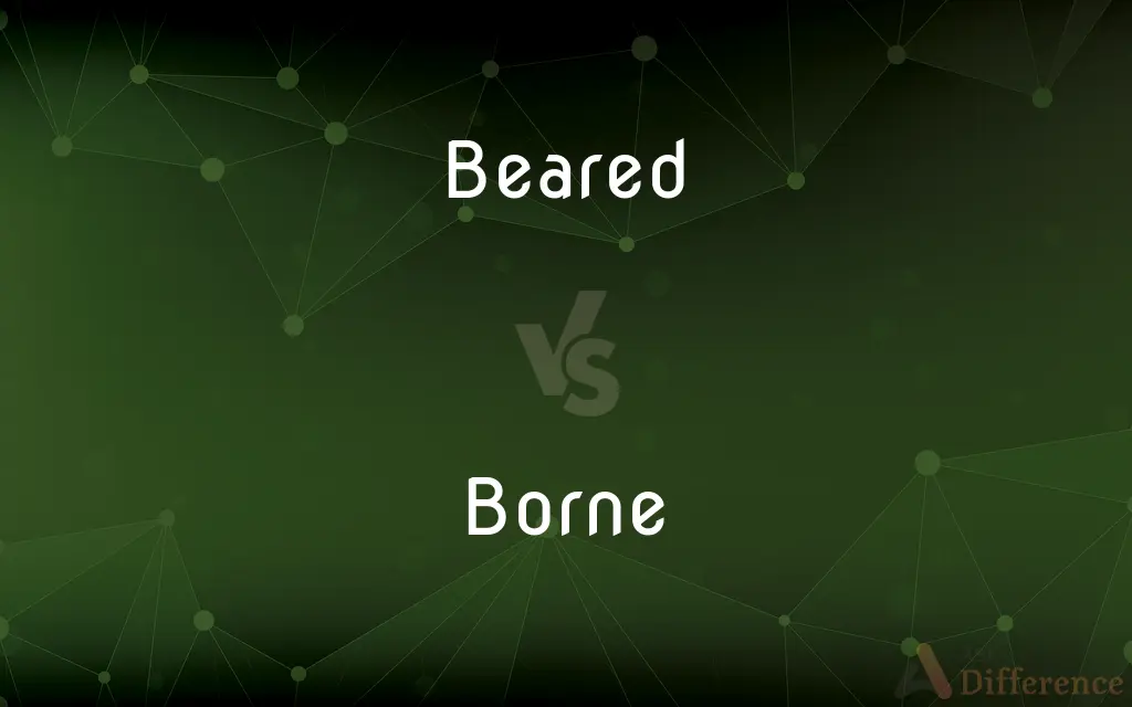 Beared vs. Borne — Which is Correct Spelling?